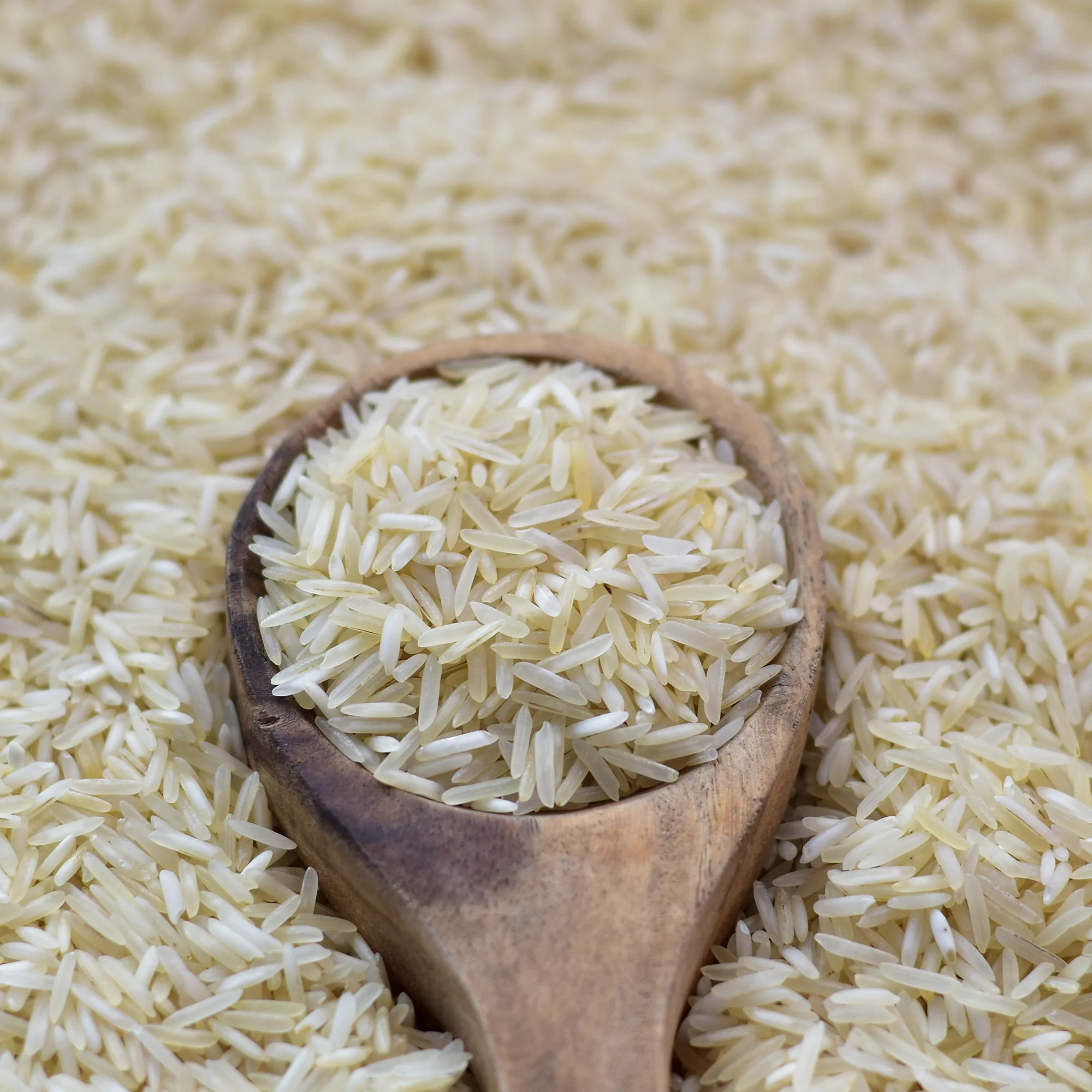 RICE PRODUCTS